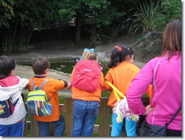 Diapositiva siguiente